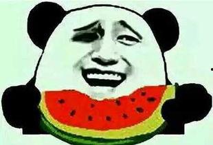 吃不吃娱乐圈的瓜